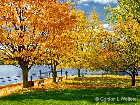 Mooney's Bay Autumn_P1020972.jpg - Rideau Canal Waterway photographed at Ottawa, Ontario, Canada.